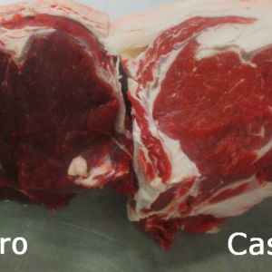 UNICAMP COMPROVA QUE BOI INTEIRO  PRODUZ CARNE INFERIOR